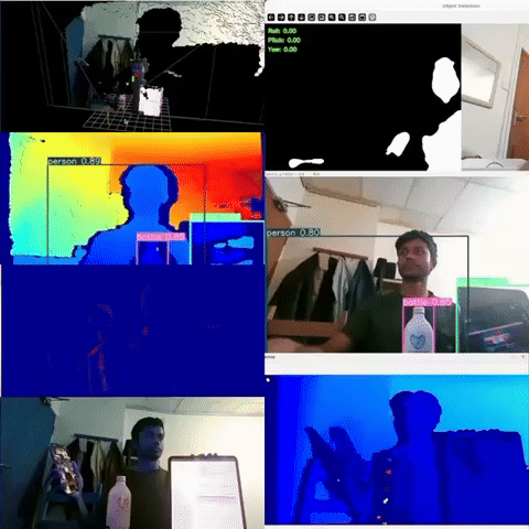 Project Output GIF